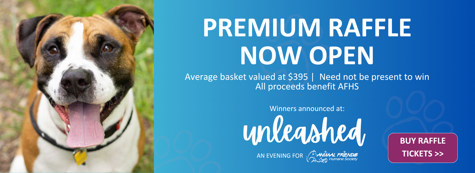 Unleashed Raffle Items